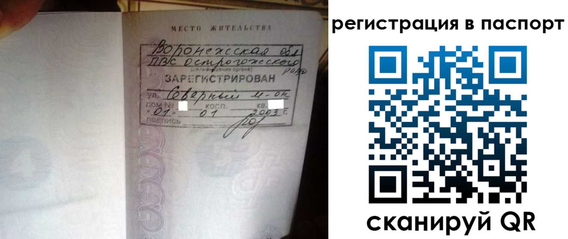 прописка для школы в Всеволожске